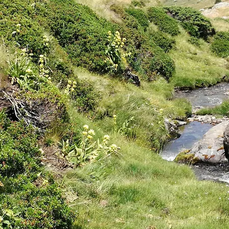 Lejlighed Pyrenees Catalanes Tres Joli 300m Telecabines *