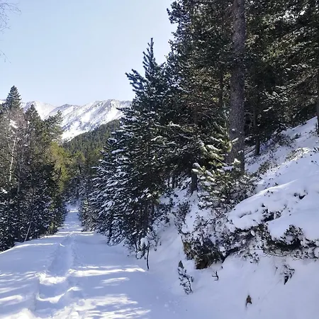 Appartement Pyrenees Catalanes Tres Joli 300m Telecabines
