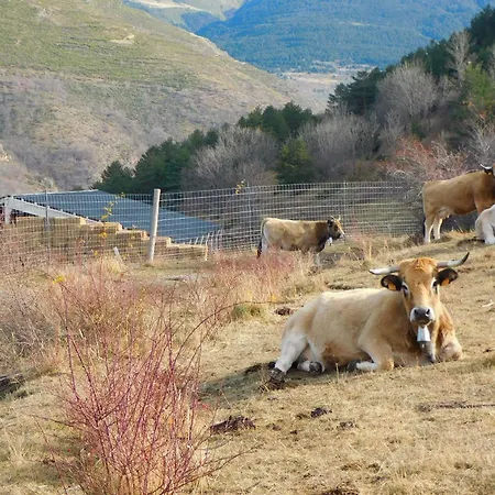Pyrenees Catalanes Tres Joli 300m Telecabines Lejlighed *