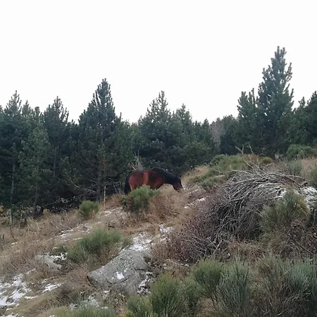 Pyrenees Catalanes Tres Joli 300m Telecabines *