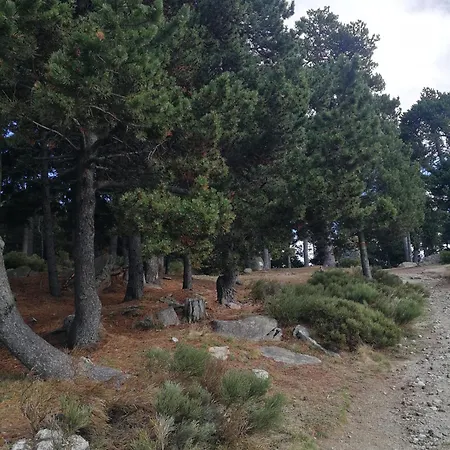 Pyrenees Catalanes Tres Joli 300m Telecabines *