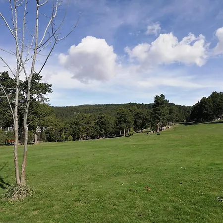 Pyrénées Catalanes Très Joli 300m Télécabines * Font Romeu